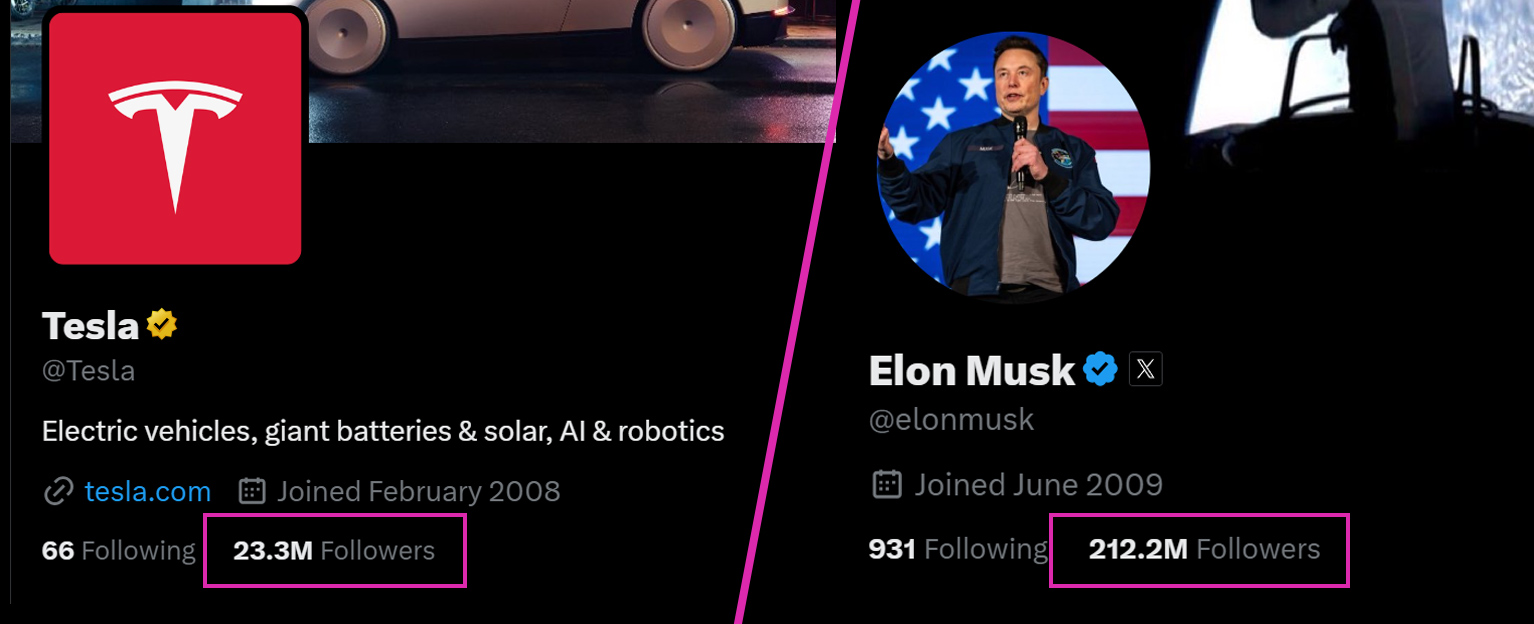sledilci na twitterju - elon musk in tesla